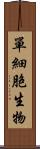 單細胞生物 Scroll