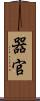 器官 Scroll