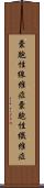 嚢胞性線維症 Scroll