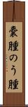 嚢腫 Scroll