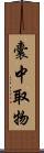 囊中取物 Scroll