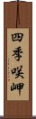 四季咲岬 Scroll