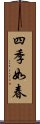 四季如春 Scroll