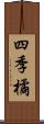 四季橘 Scroll