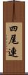 四尾連 Scroll