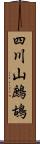 四川山鷓鴣 Scroll