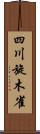 四川旋木雀 Scroll