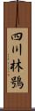 四川林鴞 Scroll