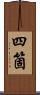四箇 Scroll