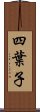 四葉子 Scroll