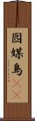 囮 Scroll