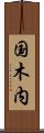 国木内 Scroll