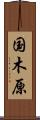 国木原 Scroll