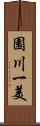 園川一美 Scroll