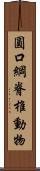圓口綱脊椎動物 Scroll