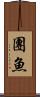 團魚 Scroll