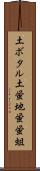 土ボタル Scroll