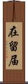 在留届 Scroll