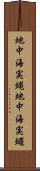 地中海実蝿 Scroll