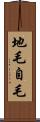 地毛 Scroll