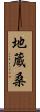 地蔵桑 Scroll