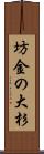 坊金の大杉 Scroll