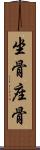 坐骨 Scroll