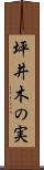 坪井木の実 Scroll