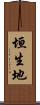 垣生地 Scroll