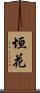垣花 Scroll