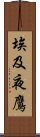 埃及夜鷹 Scroll