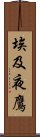 埃及夜鷹 Scroll