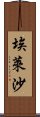 Elaisha Scroll