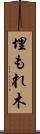 埋もれ木 Scroll