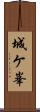 城ケ峯 Scroll
