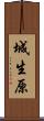 城生原 Scroll