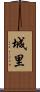 城里 Scroll