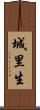 城里生 Scroll