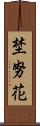埜努花 Scroll