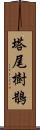 塔尾樹鵲 Scroll