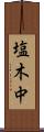 塩木中 Scroll