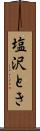 塩沢とき Scroll