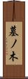 墓ノ木 Scroll