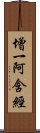 增一阿含經 Scroll