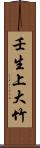 壬生上大竹 Scroll
