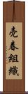 売春組織 Scroll