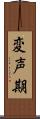変声期 Scroll