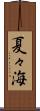 夏々海 Scroll