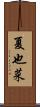 夏也菜 Scroll