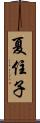 夏住子 Scroll
